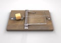 Mousetrap With Cheese