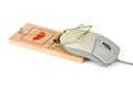 Mousetrap and computer mouse Royalty Free Stock Photo