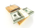 Mousetrap with dollar Royalty Free Stock Photo