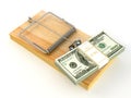 Mousetrap with dollar Royalty Free Stock Photo