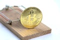 Mousetrap with a gold bitcoin coin. Concept: Cryptocurrency Soap Bubble. The risks and dangers of investing in bitcoins