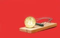 Mousetrap with gold bitcoin