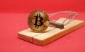 Mousetrap with gold bitcoin on red background.