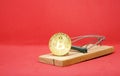 Mousetrap with gold bitcoin on red background.