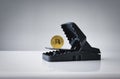 Mousetrap with gold bitcoin on wood table . Concept risks and dangers of investing to bitcoin Royalty Free Stock Photo