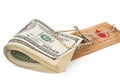 Mousetrap with hundred dollars bill. Royalty Free Stock Photo