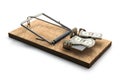 Mousetrap with money on white