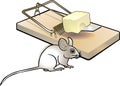 Mousetrap and mouse