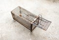 Mousetrap Rat cage white background. Royalty Free Stock Photo
