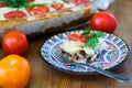 Moussaka dinner on painted plate, close view Royalty Free Stock Photo