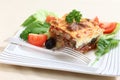 Moussaka and fork Royalty Free Stock Photo