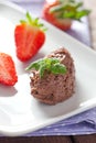Mousse au chocolat Royalty Free Stock Photo