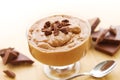 Mousse au chocolat with chocolate Royalty Free Stock Photo