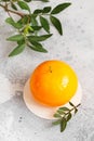 Mousse dessert in the shape of a pear fruit, orange fruit, apricot, lemon and cherry Royalty Free Stock Photo