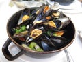 Moussels in a pot Royalty Free Stock Photo