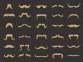Moustache collection. Shaved gentlemen set barbershop symbols recent vector moustache icons
