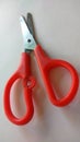 Moustache Cutting scissors