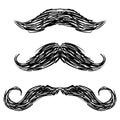 Moustache sketch Royalty Free Stock Photo