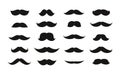 Moustache on white background. Vector illustration Royalty Free Stock Photo