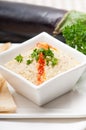 Moutabal baba ghanoush eggplant dip Royalty Free Stock Photo