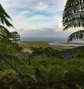 Mouth of the Daintree River