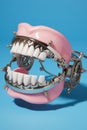 Mouth dental orthodontic care dentistry hygiene tooth health dentures dentist oral