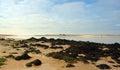Mouth of Etel river in brittany