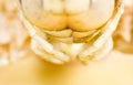 The mouth of a grasshopper on his head in nature