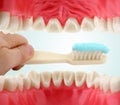 Mouth from inside and tooth-brush Royalty Free Stock Photo