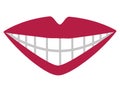 mouth with perfect teeth vector illustration