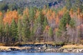 Mountain forest in mid-autumn and river Royalty Free Stock Photo