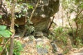 Mouth of a spring, natural fountain, subterranean course of water from big stone in the forest at Op Luang National Park, Hot, Chi Royalty Free Stock Photo