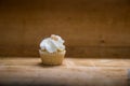 Single Mini Lemon Cupcakes with Candied Lemon