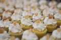 Mini Lemon Cupcakes with Candied Lemon