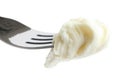 Mouthful of torn mozzarella on fork, isolated.