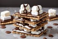 Graham wafer crackers with melted marshmallows and chocolate