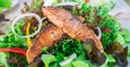 Mouthwatering salmon salad green, clean and heathy food.