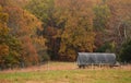 Moveable chicken coop in the fall