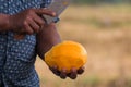 moveing a knife to chop papaya