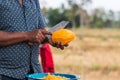 moveing a knife to chop papaya