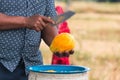 moveing a knife to chop papaya