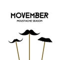 Movember. Mustache season. Mustache mask on stick
