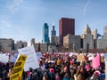 2018 Women's March Chicago. The crowds and skyline.