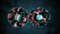 The movement of binary division cells