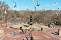 Movement at Bothesda Terrace abd Fountain