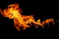 Movement of fire flames isolated on black background