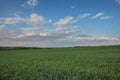 The movement of the thunderclouds over the fields of winter wheat in early spring in the vast steppes of the Don. Royalty Free Stock Photo