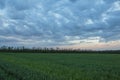 The movement of the thunderclouds over the fields of winter wheat in early spring in the vast steppes of the Don. Royalty Free Stock Photo