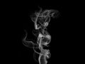 Movement of white smoke isolated on black background Royalty Free Stock Photo