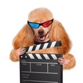 Movie clapper board director dog. Royalty Free Stock Photo